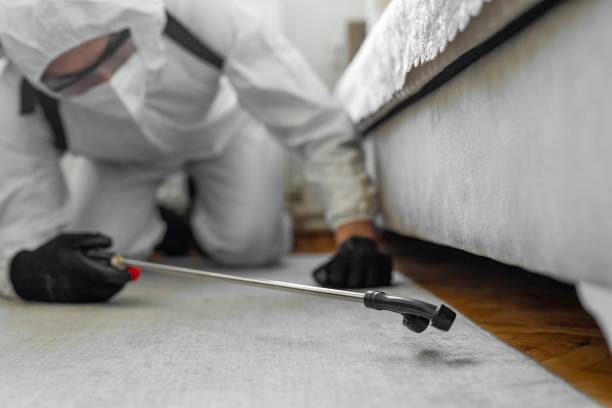 Professional Bed Bug Control technician working in Santa Rosa County County, FL